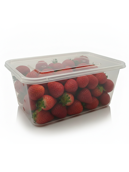 1000ml REC MW Container CL