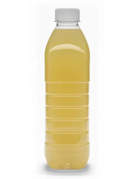 MG-1361 433x577 lemon.webp