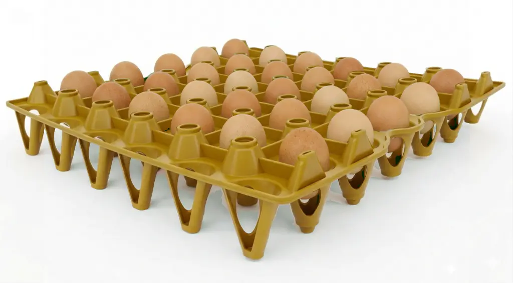 Yellow tray with eggs.webp