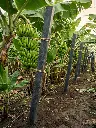 image_1024