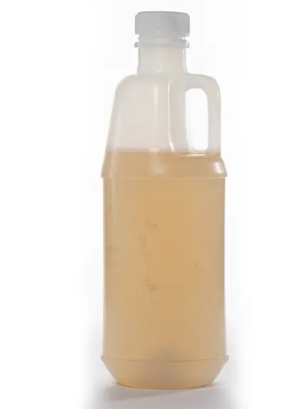 MG-0142     433x577 Yellow.webp